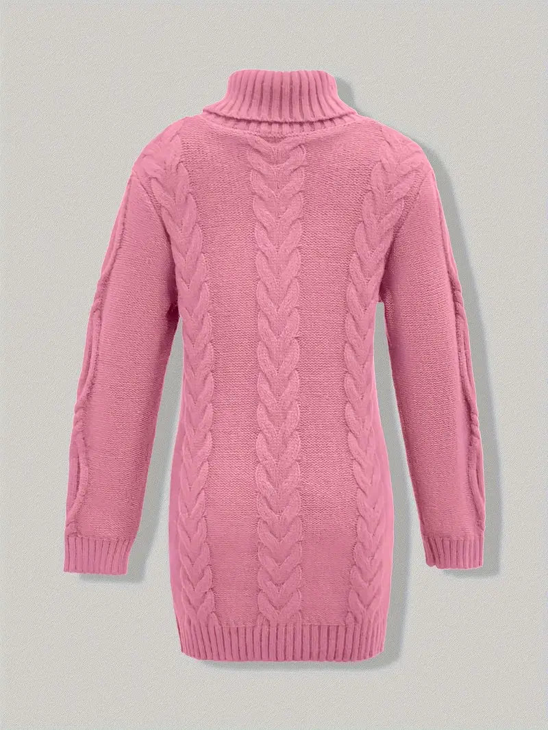Laurien | Pull à col roulé