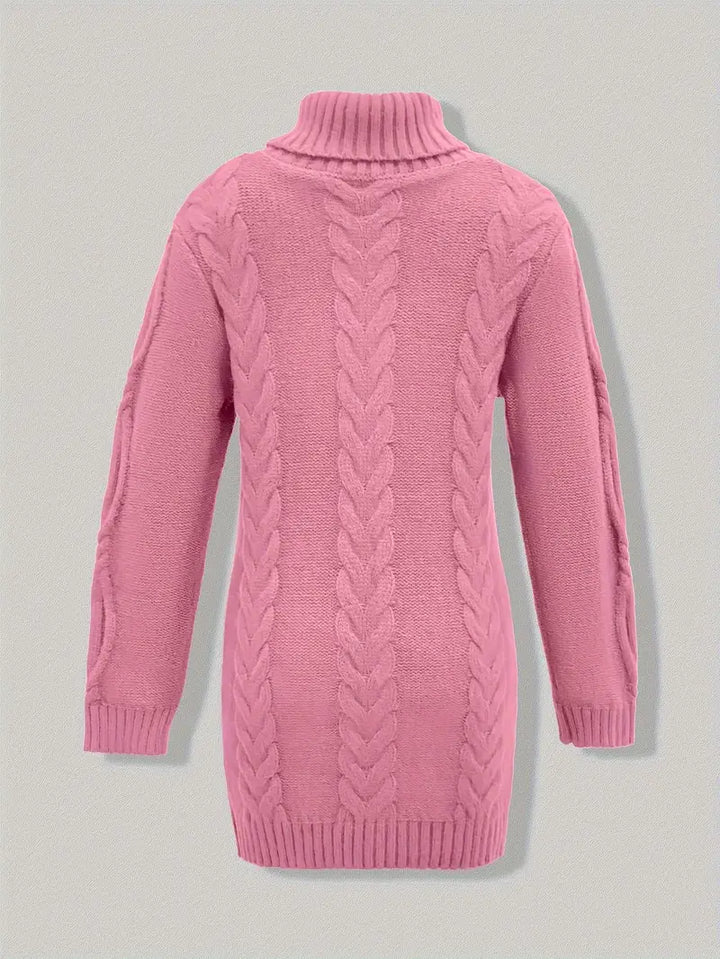 Laurien | Pull à col roulé