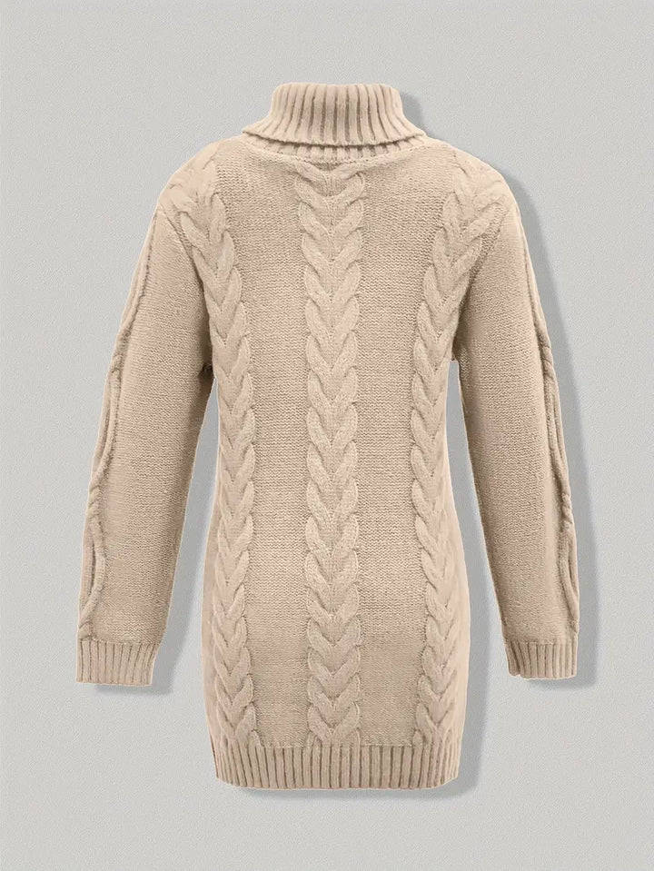Laurien | Pull à col roulé