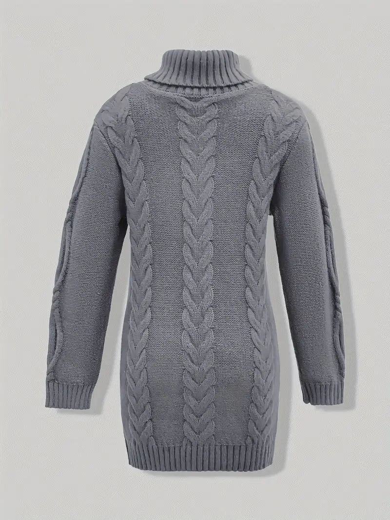 Laurien | Pull à col roulé