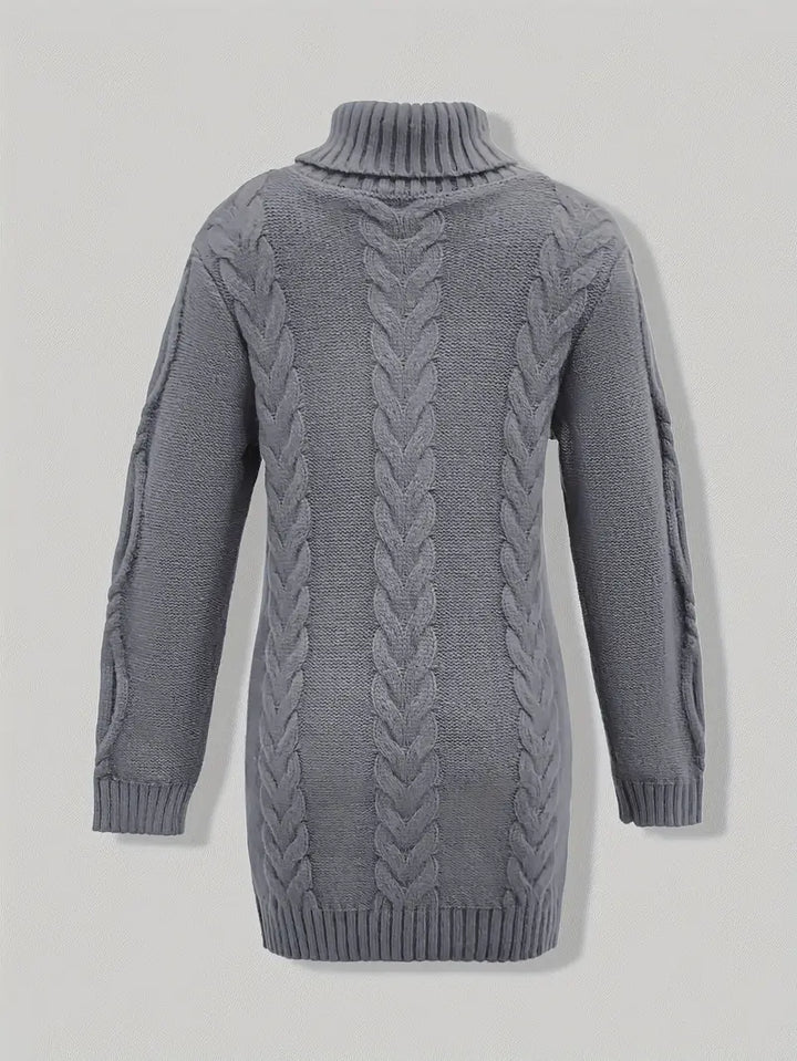Laurien | Pull à col roulé