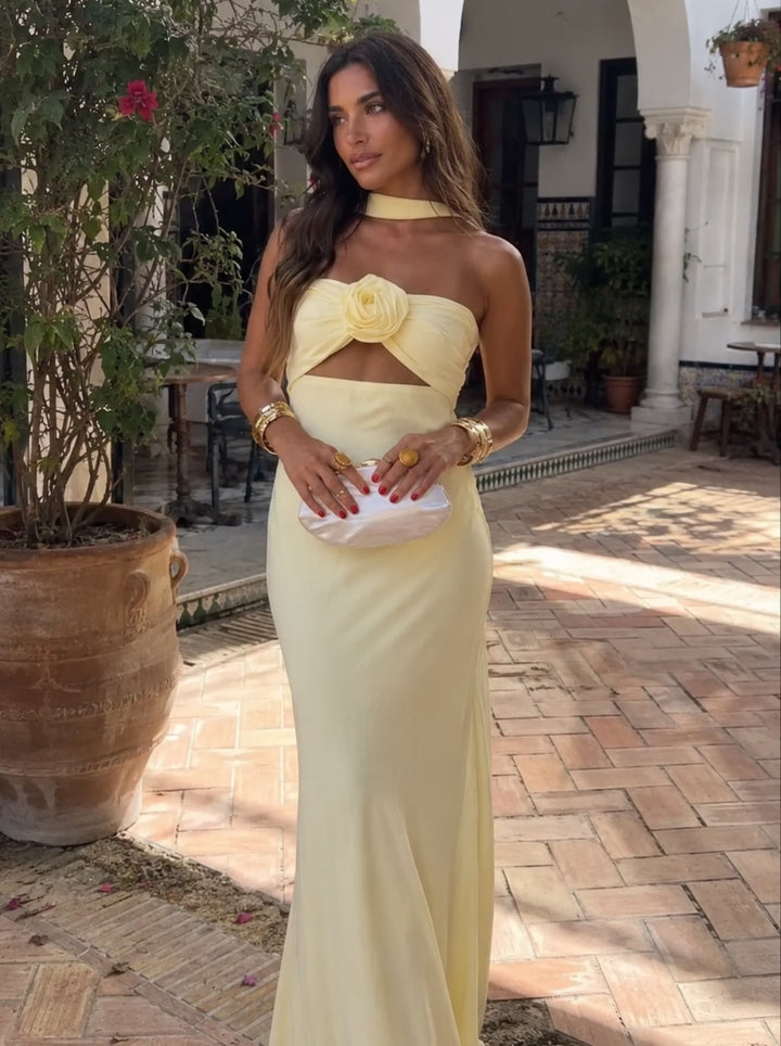 Robe maxi dos nu avec corsage rose