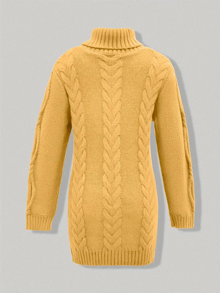 Laurien | Pull à col roulé