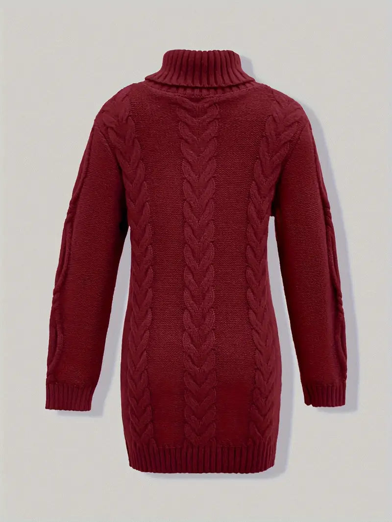 Laurien | Pull à col roulé