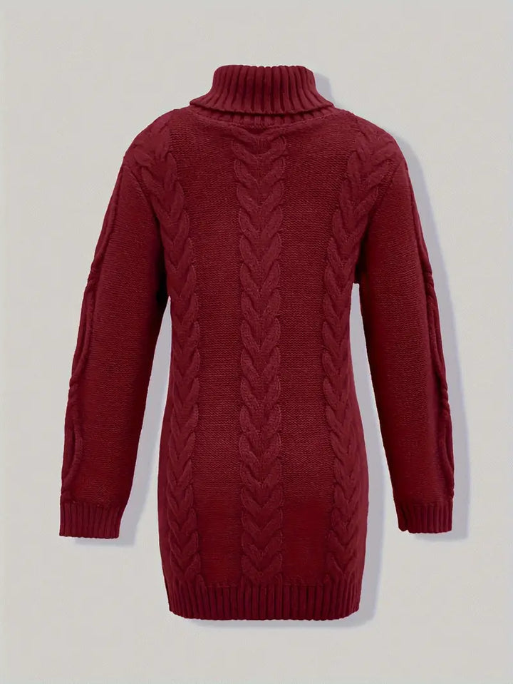 Laurien | Pull à col roulé