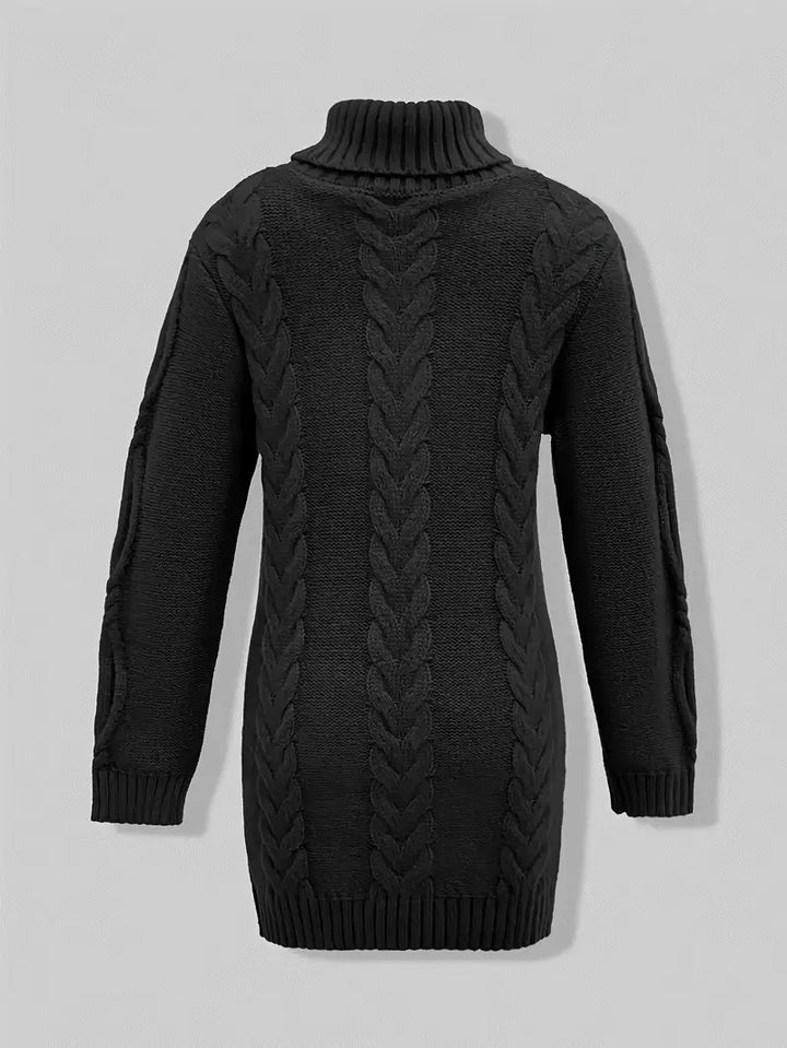 Laurien | Pull à col roulé