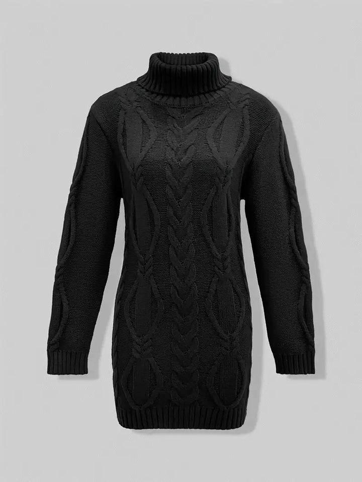 Laurien | Pull à col roulé